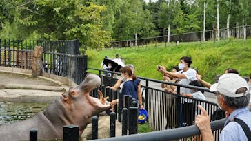 旭川市旭山動物園に投稿された画像（2020/8/11）