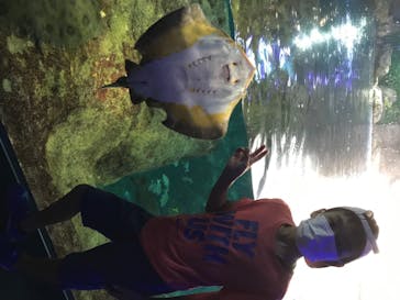 新江ノ島水族館に投稿された画像（2020/8/11）