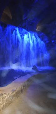 地底王国「美川ムーバレー」に投稿された画像（2020/8/11）