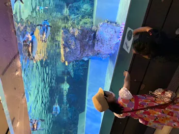 すみだ水族館に投稿された画像（2020/8/11）