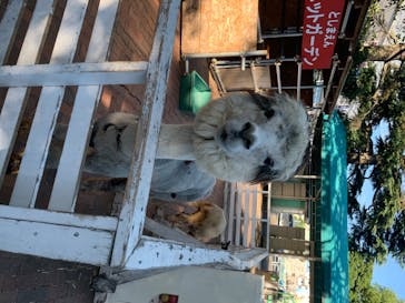 としまえんに投稿された画像（2020/8/11）