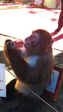 としまえんに投稿された画像（2020/8/11）