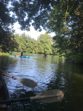 カヌーリゾートたまよどに投稿された画像（2020/8/11）