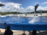 京都水族館に投稿された画像（2020/8/11）