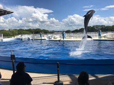 京都水族館に投稿された画像（2020/8/11）