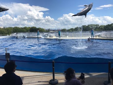 京都水族館に投稿された画像（2020/8/11）