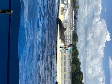 京都水族館に投稿された画像（2020/8/11）