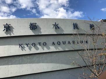 京都水族館に投稿された画像（2020/8/11）
