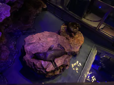 すみだ水族館に投稿された画像（2020/8/11）