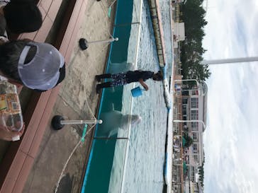 横浜・八景島シーパラダイスに投稿された画像（2020/8/11）