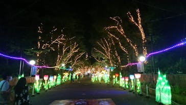 としまえんに投稿された画像（2020/8/11）