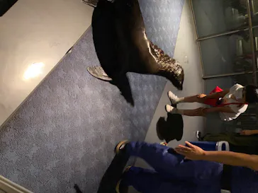 すみだ水族館に投稿された画像（2020/8/11）