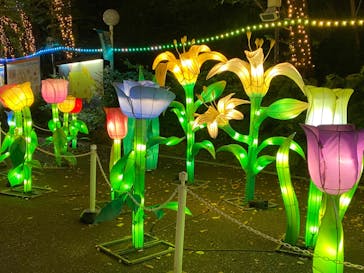 としまえんに投稿された画像（2020/8/11）