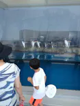 仙台うみの杜水族館に投稿された画像（2020/8/11）