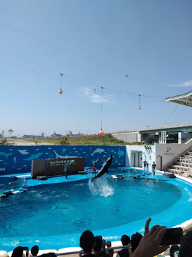 仙台うみの杜水族館に投稿された画像（2020/8/11）