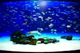 サンシャイン水族館に投稿された画像（2020/8/11）