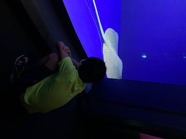 サンシャイン水族館に投稿された画像（2020/8/11）