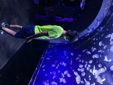 サンシャイン水族館に投稿された画像（2020/8/11）