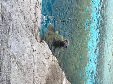京都水族館に投稿された画像（2020/8/11）