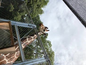 しろとり動物園に投稿された画像（2020/8/11）