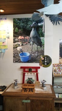 伊豆シャボテン動物公園に投稿された画像（2020/8/11）