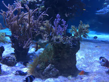 すみだ水族館に投稿された画像（2020/8/11）