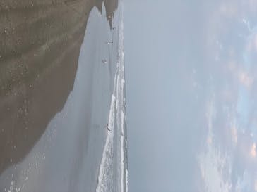 蓮沼ウォーターガーデンに投稿された画像（2020/8/11）