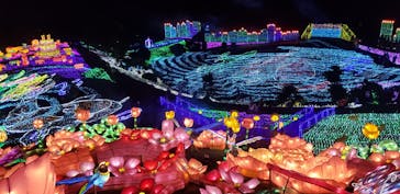 伊豆ぐらんぱる公園に投稿された画像（2020/8/12）