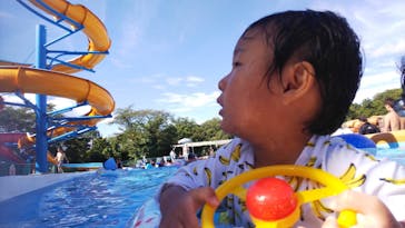 日本モンキーパークに投稿された画像（2020/8/12）