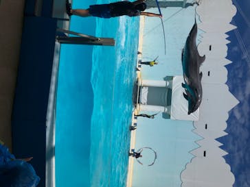 株式会社Gに投稿された画像（2020/8/12）