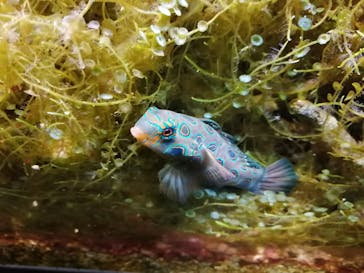 株式会社Gに投稿された画像（2020/8/12）