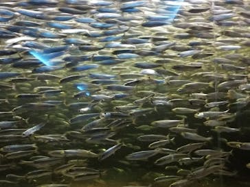 株式会社Gに投稿された画像（2020/8/12）