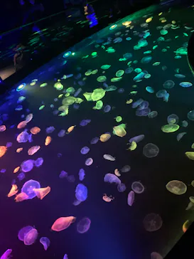 すみだ水族館に投稿された画像（2020/8/12）