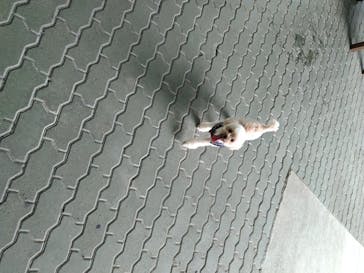 わんダフルネイチャーヴィレッジに投稿された画像（2020/8/12）