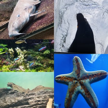 サンシャイン水族館に投稿された画像（2020/8/12）