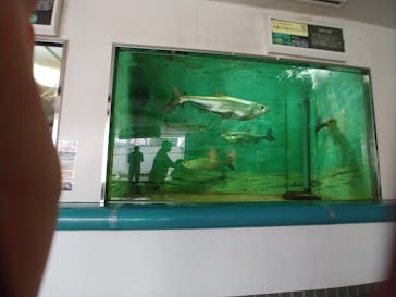 株式会社Gに投稿された画像（2020/8/12）