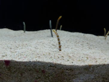 株式会社Gに投稿された画像（2020/8/12）