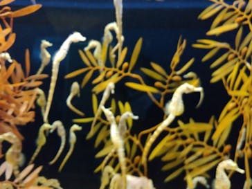 株式会社Gに投稿された画像（2020/8/12）