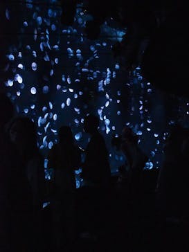 サンシャイン水族館に投稿された画像（2020/8/12）