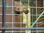 しろとり動物園に投稿された画像（2020/8/12）