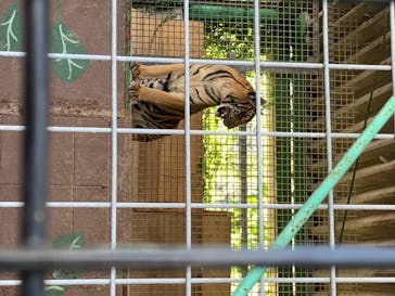 しろとり動物園に投稿された画像（2020/8/12）