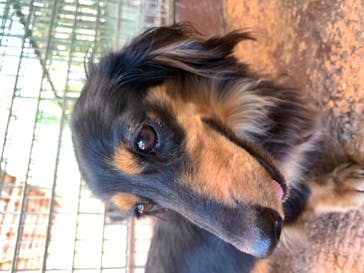 しろとり動物園に投稿された画像（2020/8/12）