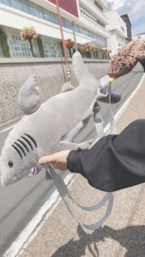 京都水族館に投稿された画像（2020/8/12）