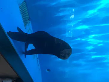 仙台うみの杜水族館に投稿された画像（2020/8/12）