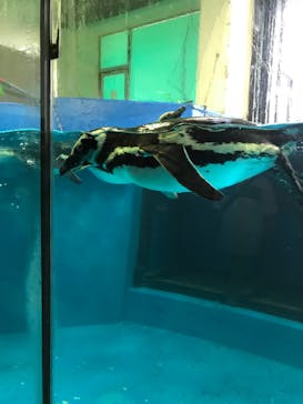 株式会社Gに投稿された画像（2020/8/12）