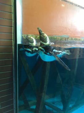 株式会社Gに投稿された画像（2020/8/12）