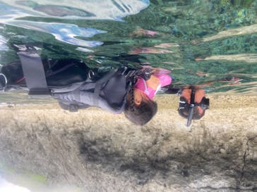 ダイビングショップ Sea Free（シーフリー）に投稿された画像（2020/8/12）