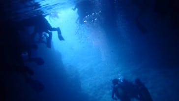 ダイビングショップ Sea Free（シーフリー）に投稿された画像（2020/8/12）