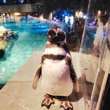 すみだ水族館に投稿された画像（2020/8/12）