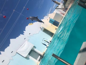 株式会社Gに投稿された画像（2020/8/12）